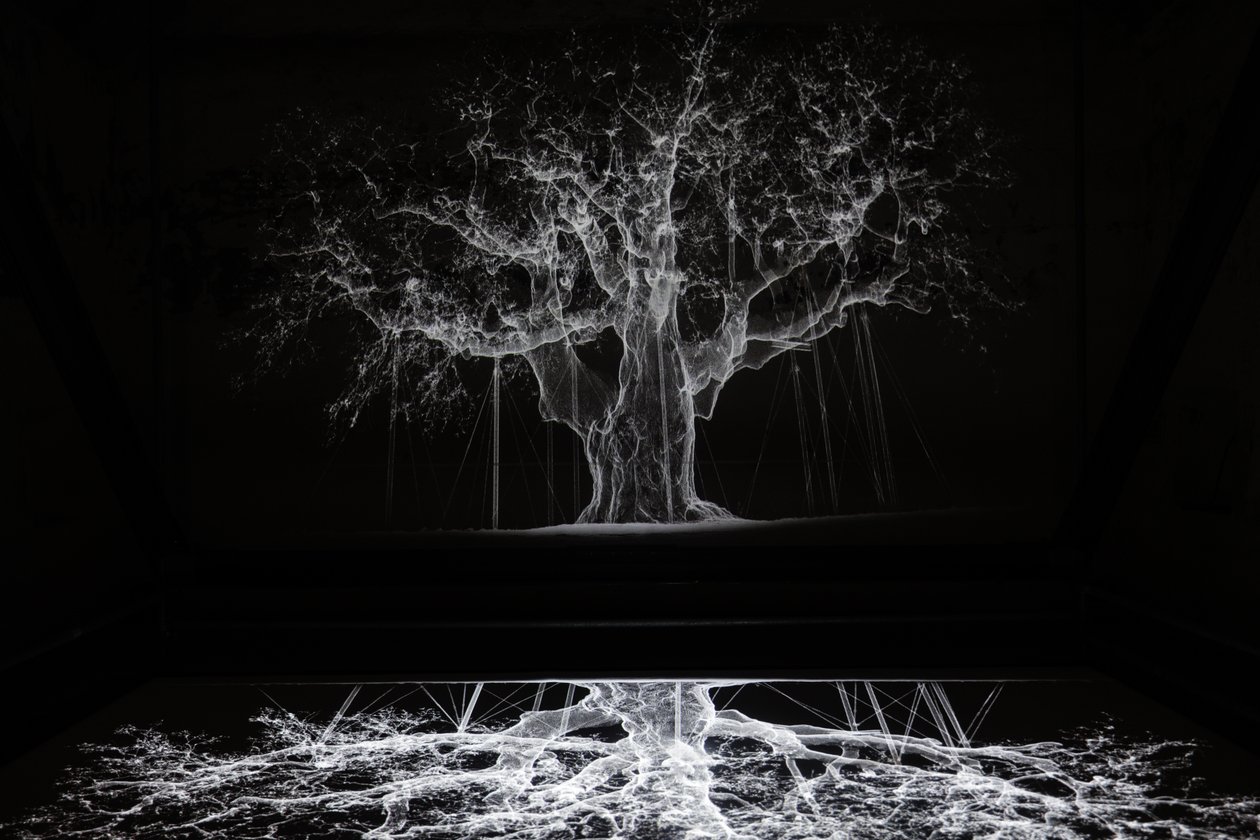  av Mat Collishaw