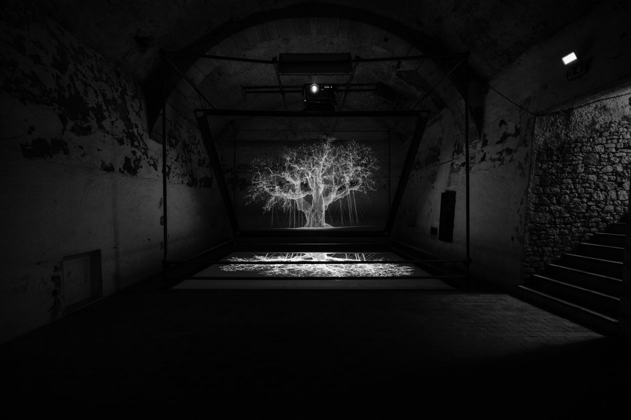  av Mat Collishaw