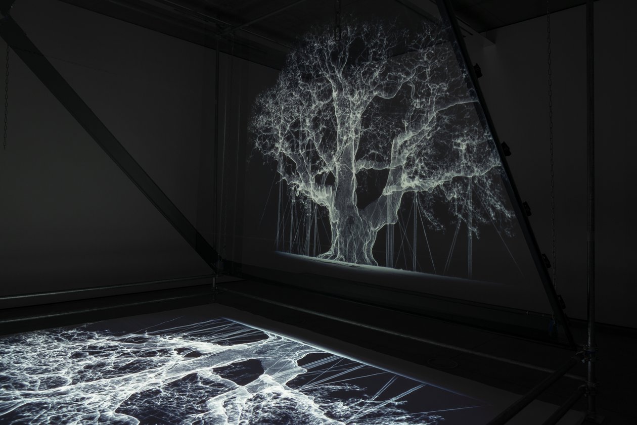  av Mat Collishaw