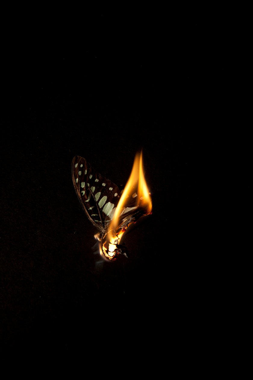  av Mat Collishaw