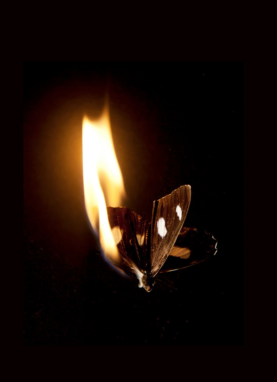  av Mat Collishaw
