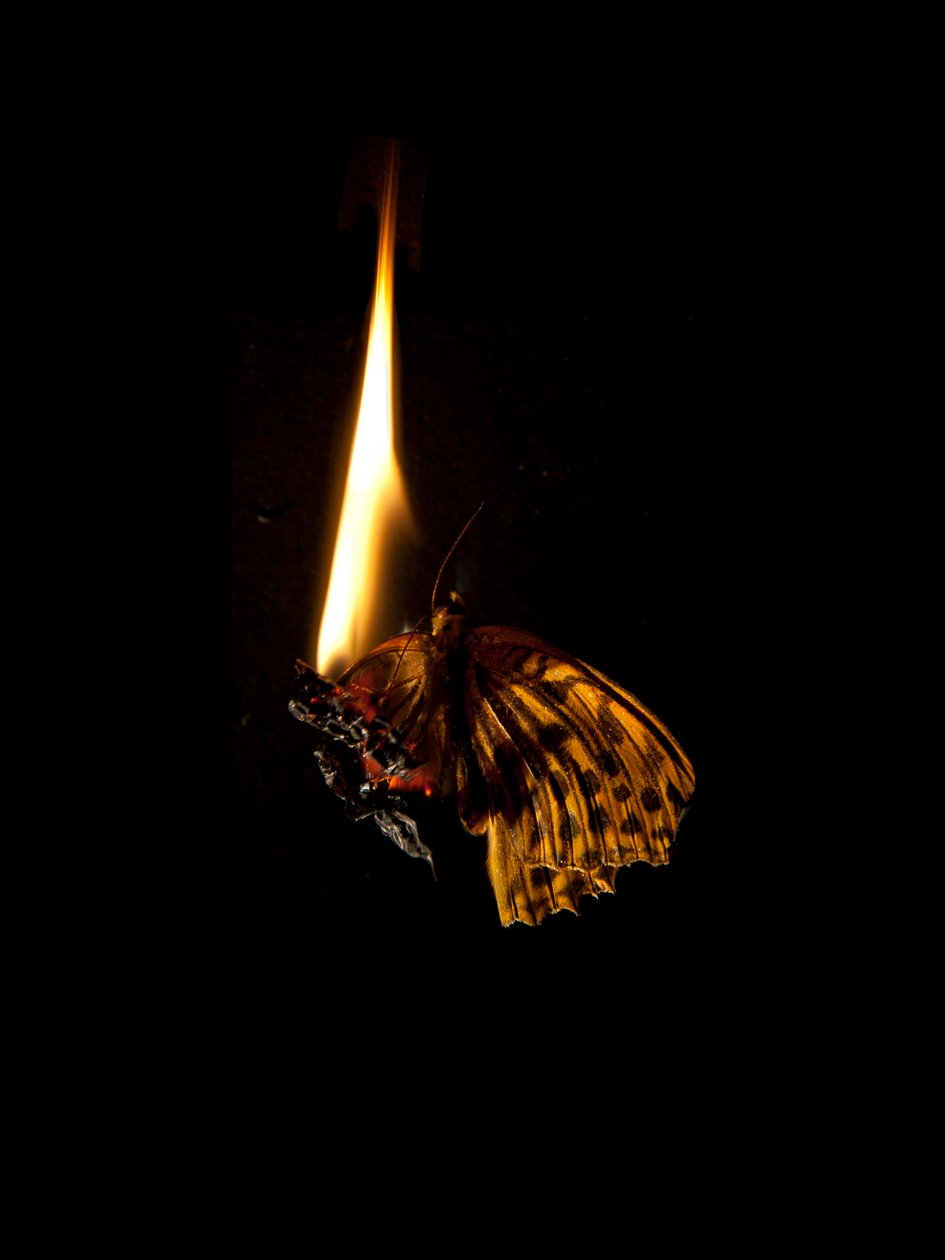  av Mat Collishaw