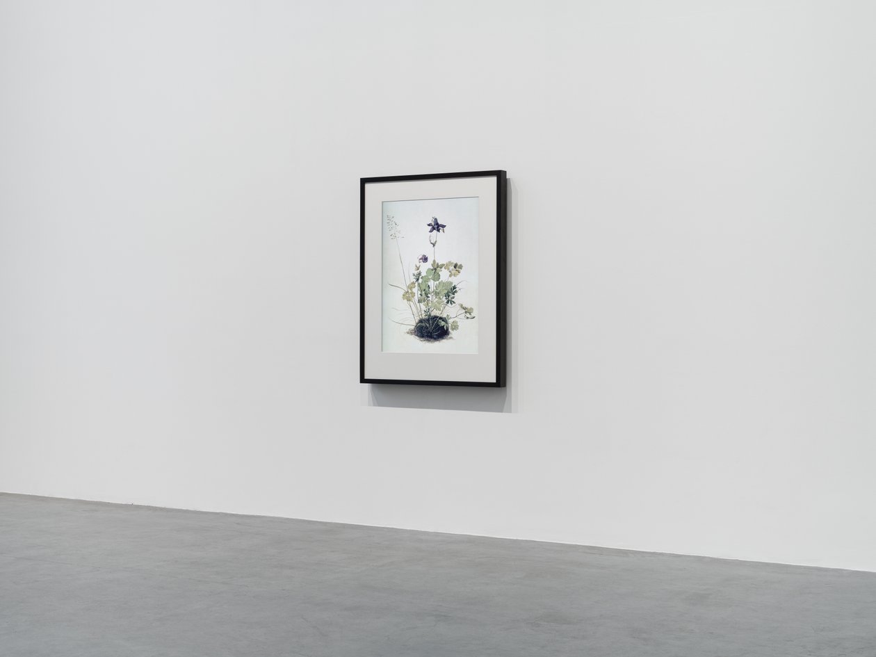  av Mat Collishaw