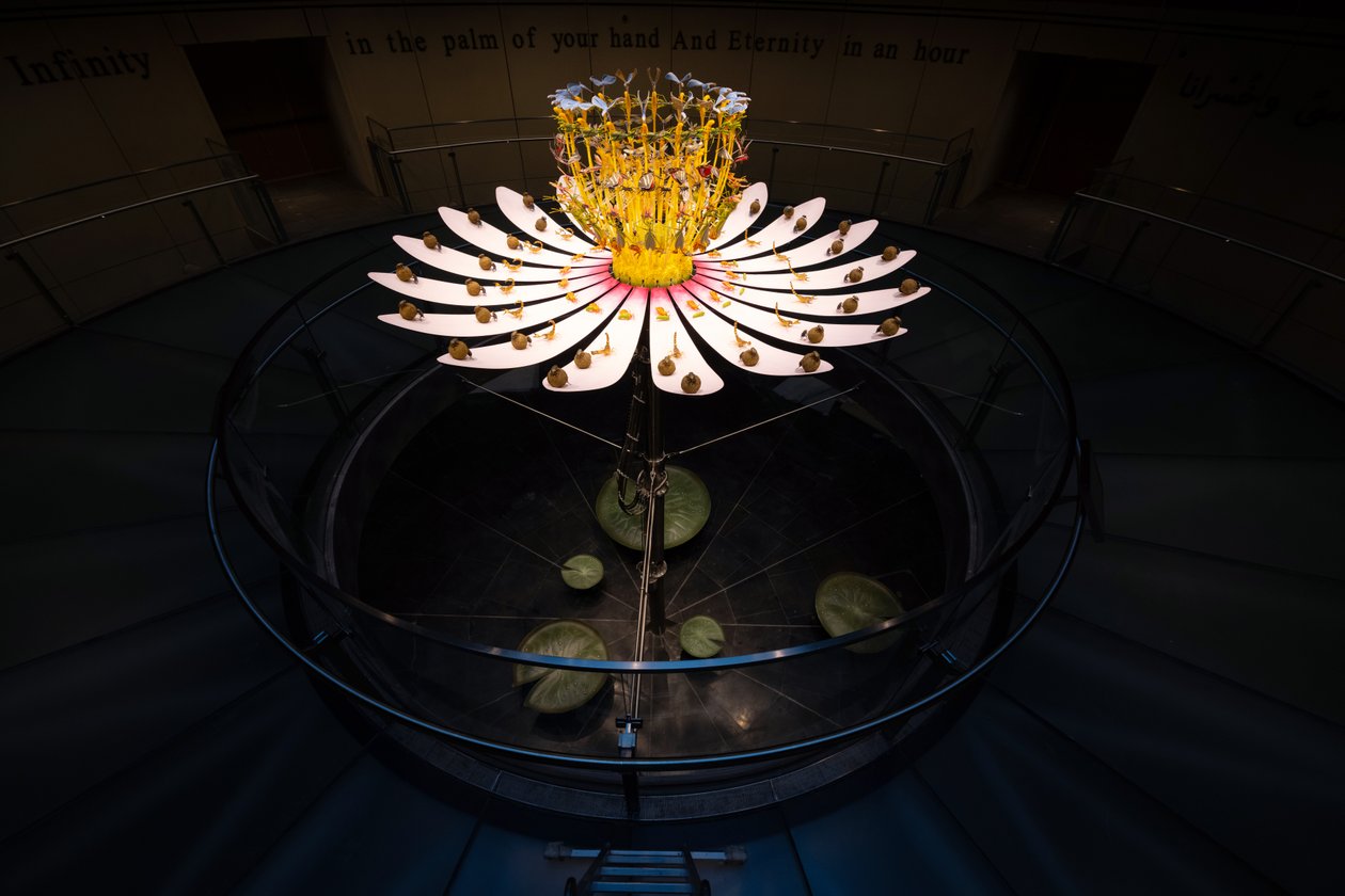  av Mat Collishaw