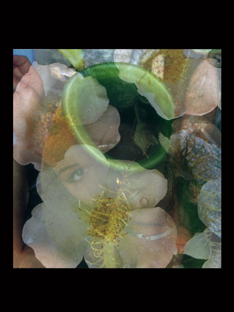  av Mat Collishaw