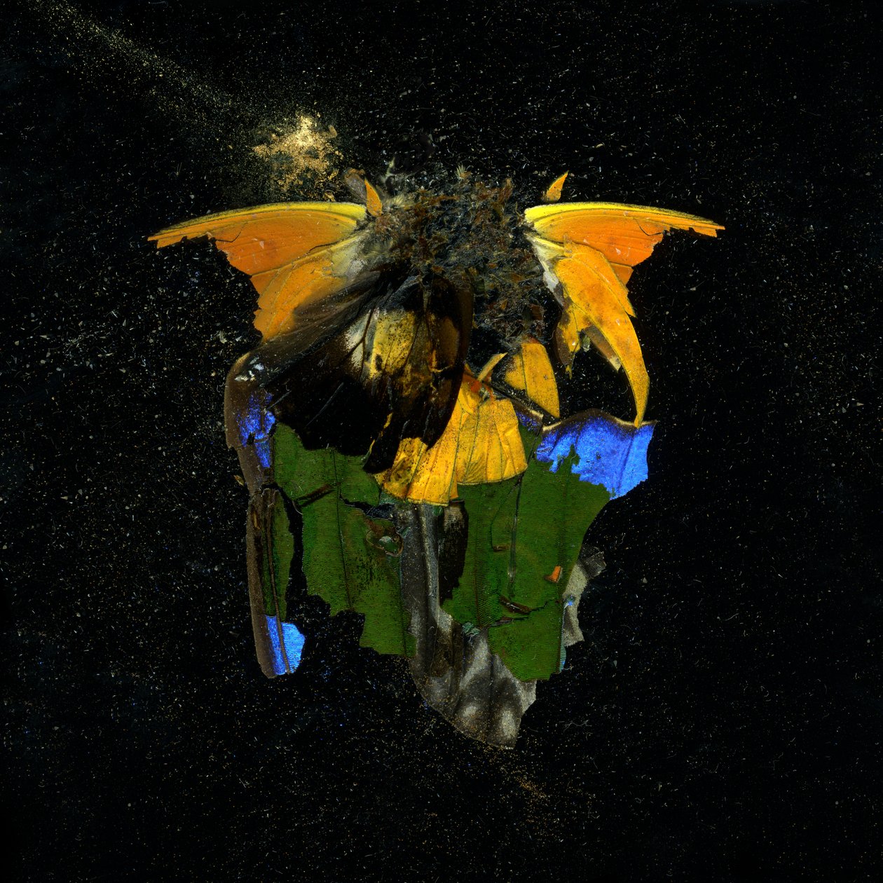  av Mat Collishaw