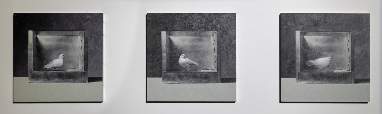  av Mat Collishaw