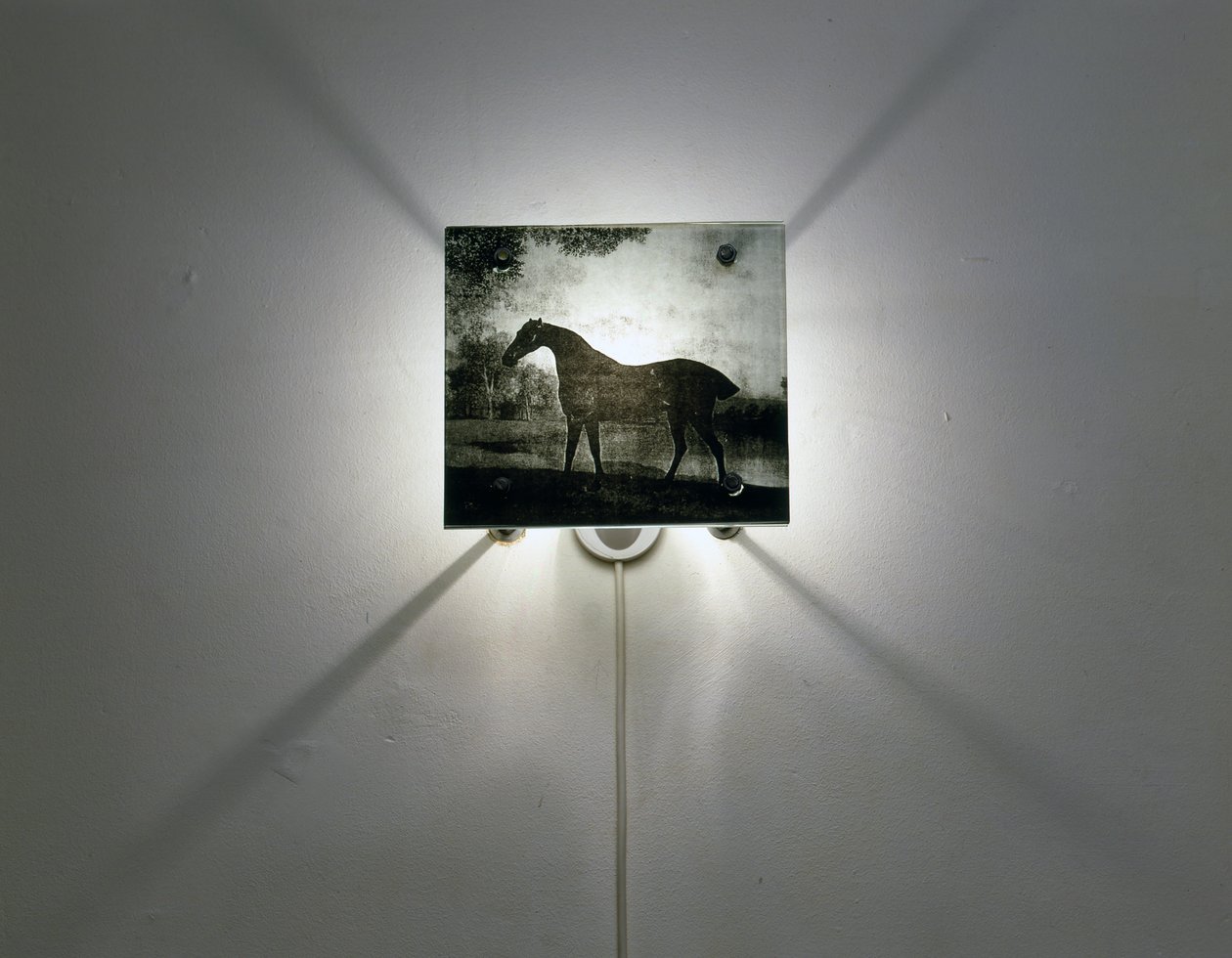  av Mat Collishaw