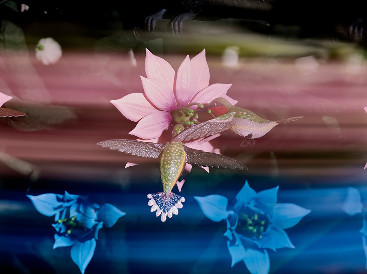  av Mat Collishaw