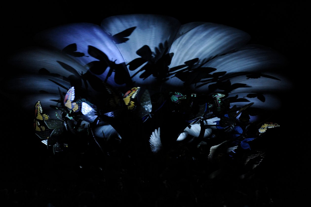  av Mat Collishaw