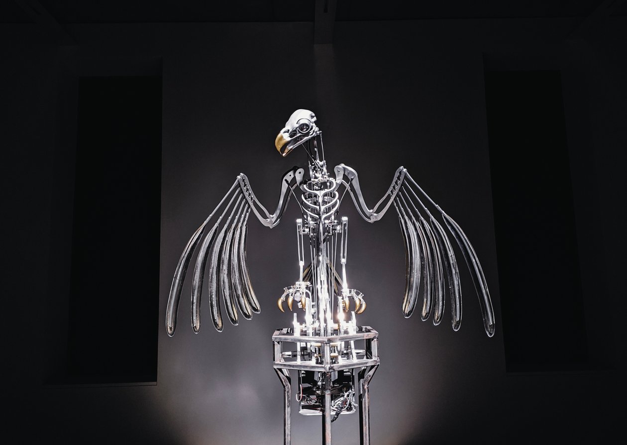  av Mat Collishaw