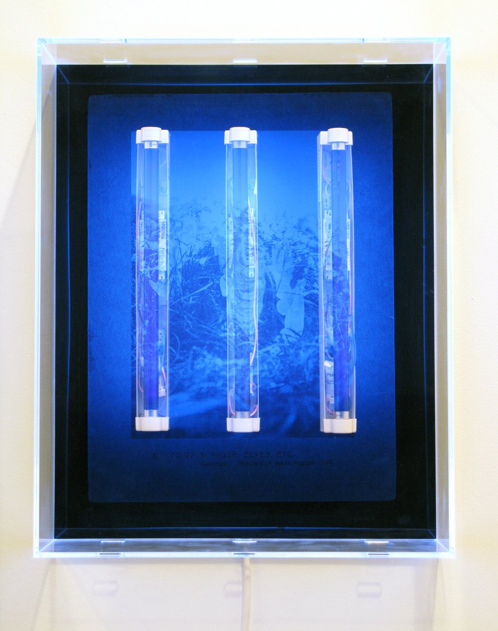  av Mat Collishaw