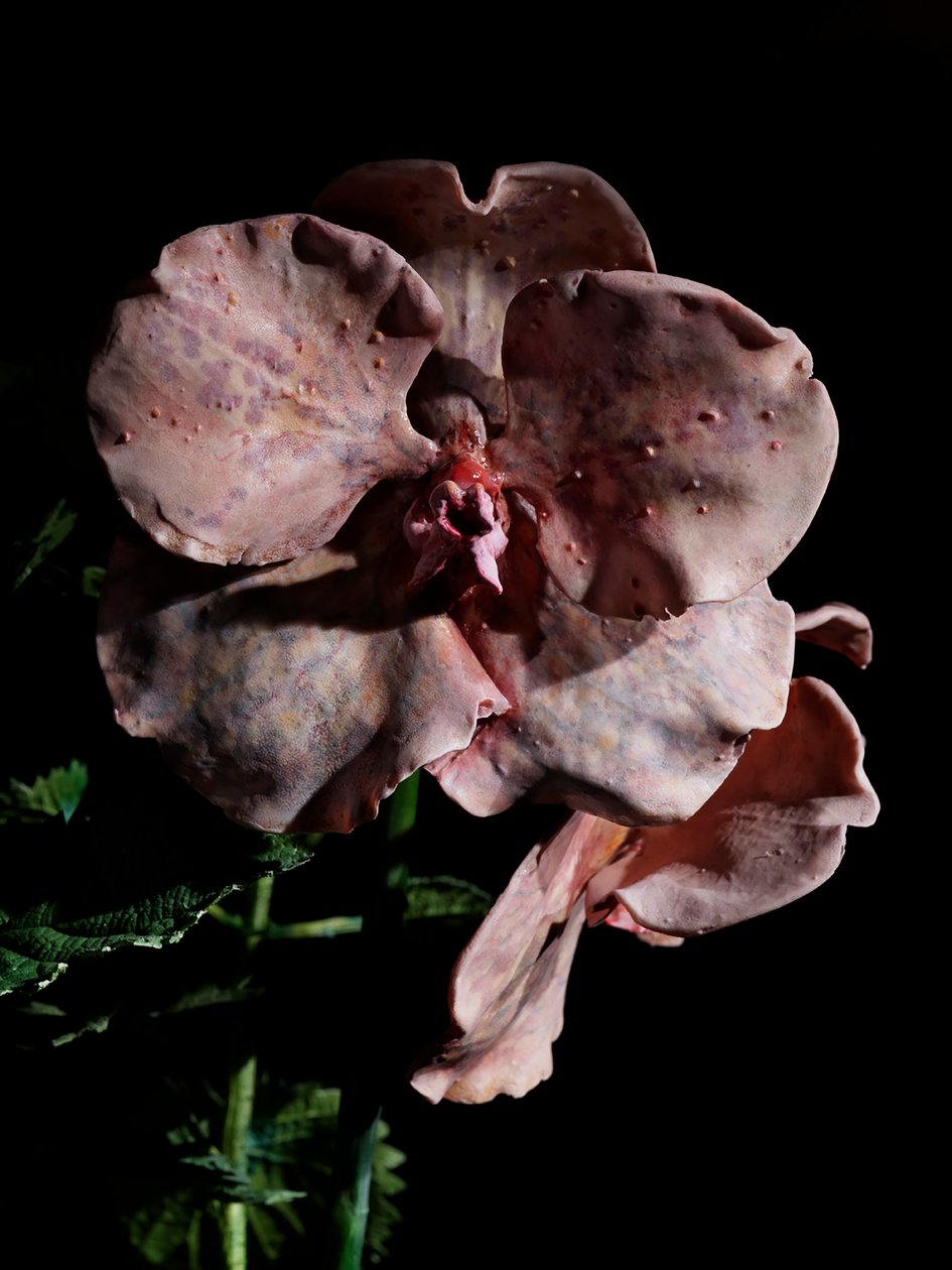 Venal Muse, Impetus, 2012 (Harpiks, emaljemaling, tre, glass, stål) av Mat Collishaw