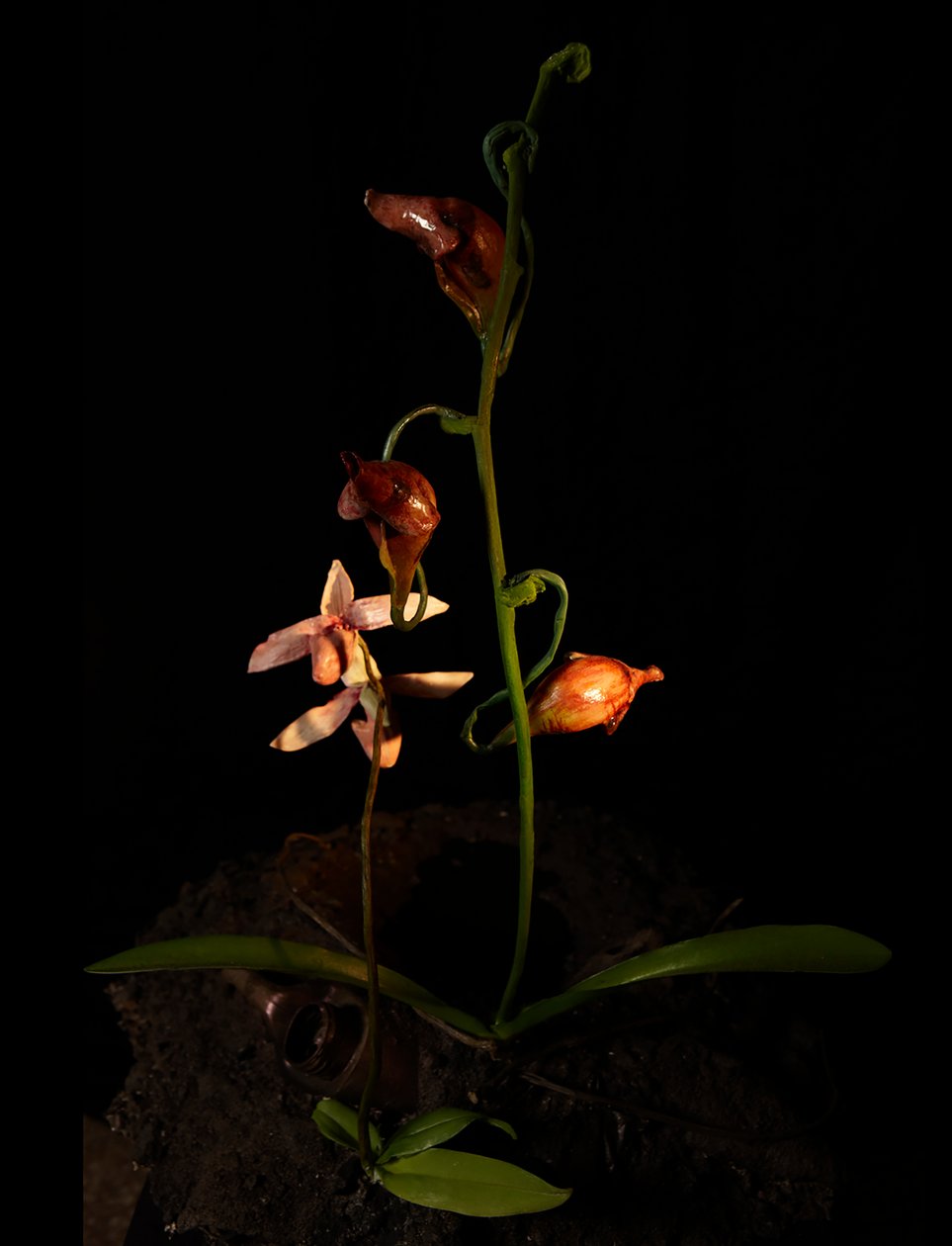 Venal Muse, Lafage, 2012 (Harpiks, emaljemaling, tre, glass, stål) av Mat Collishaw