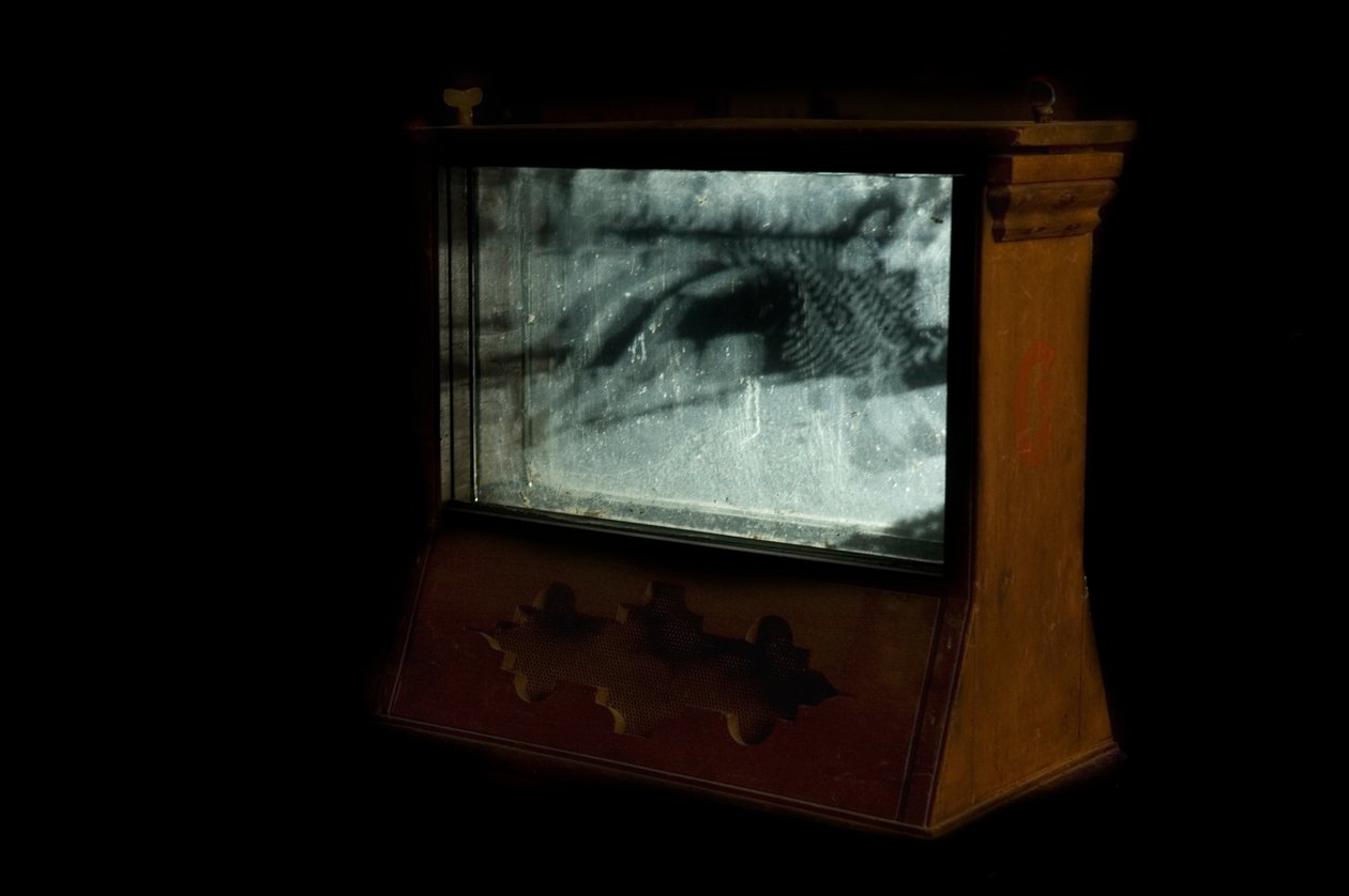  av Mat Collishaw