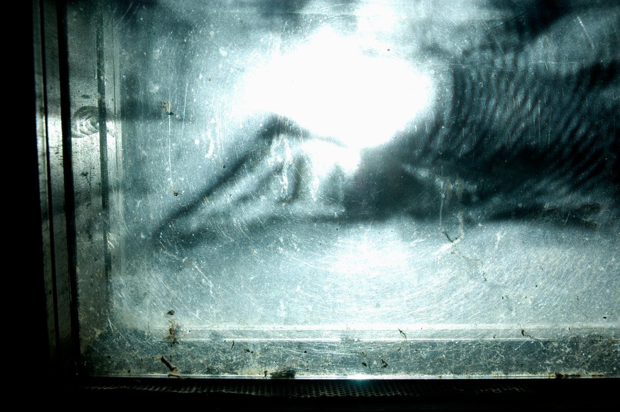  av Mat Collishaw