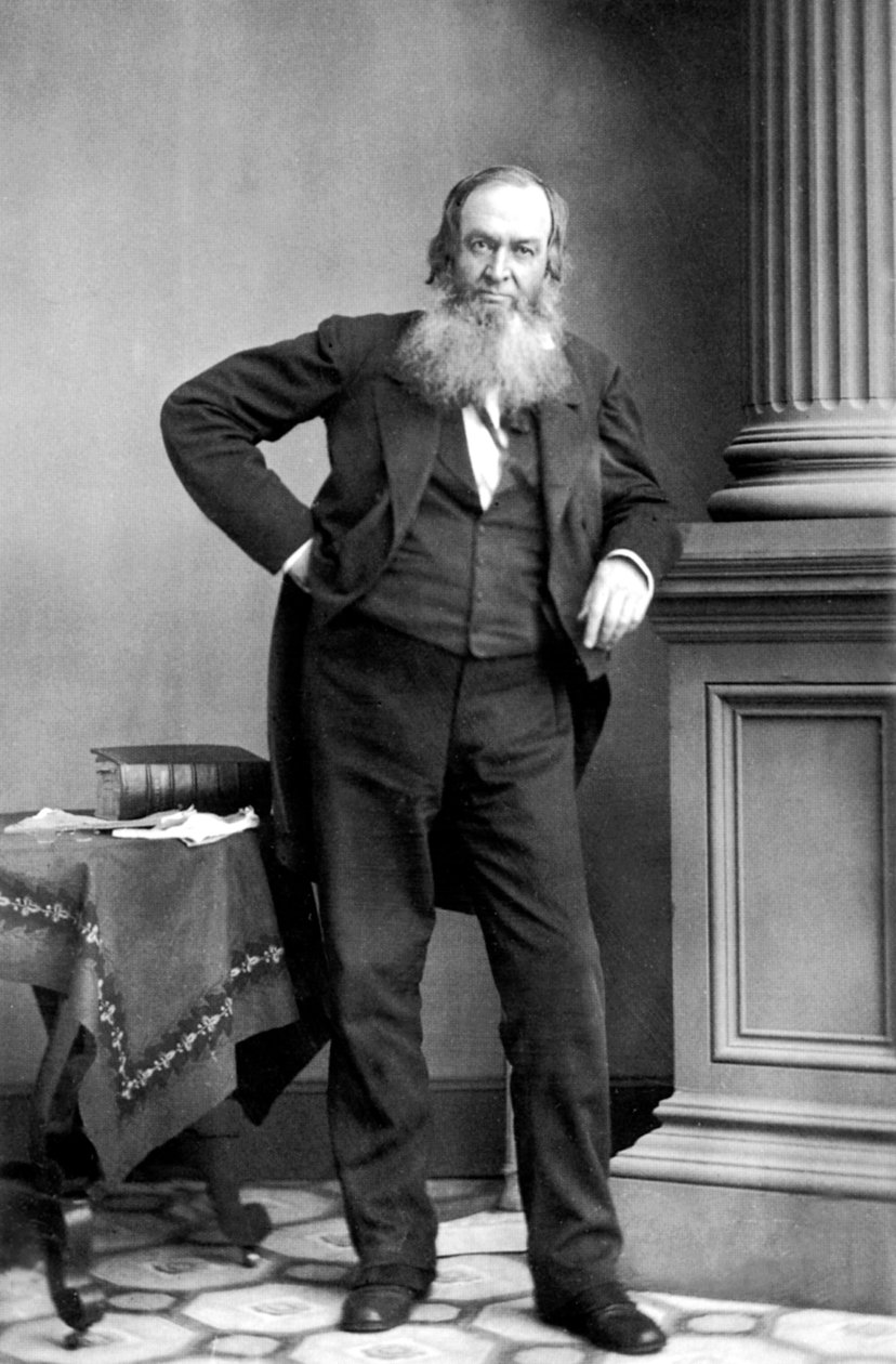 Gerrit Smith: Amerikansk politiker, New York av Mathew B. Brady