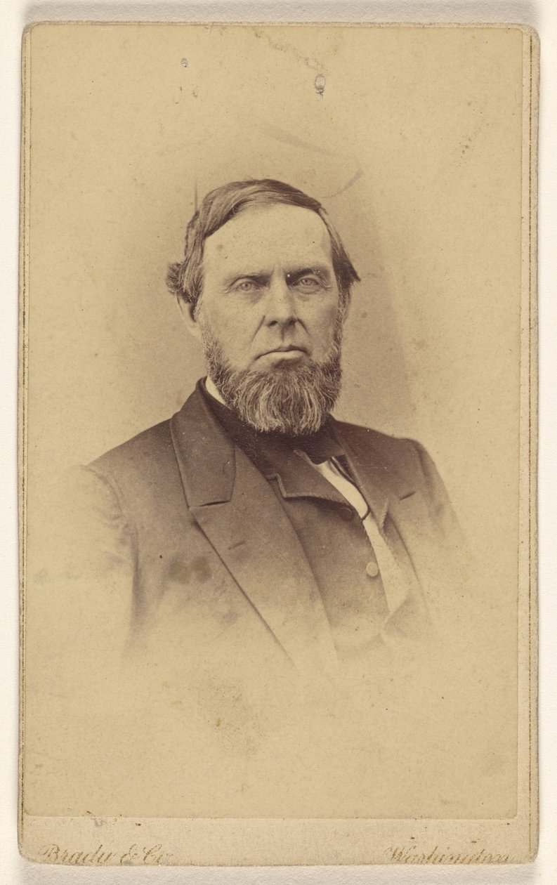 [Uidentifisert skjeggete mann, trykt i vignetstil] av Mathew B. Brady