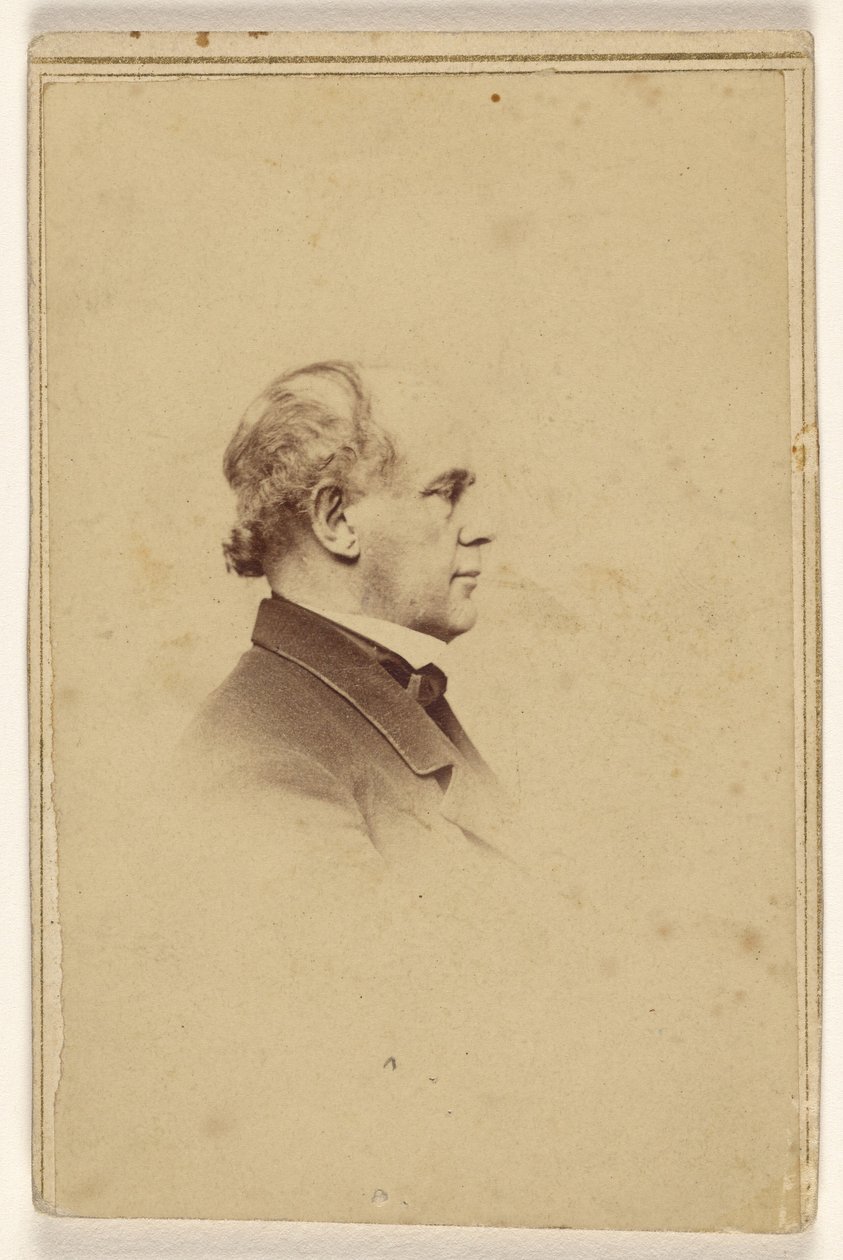 [Uidentifisert mann i profil, trykt i vignetstil] av Mathew B. Brady