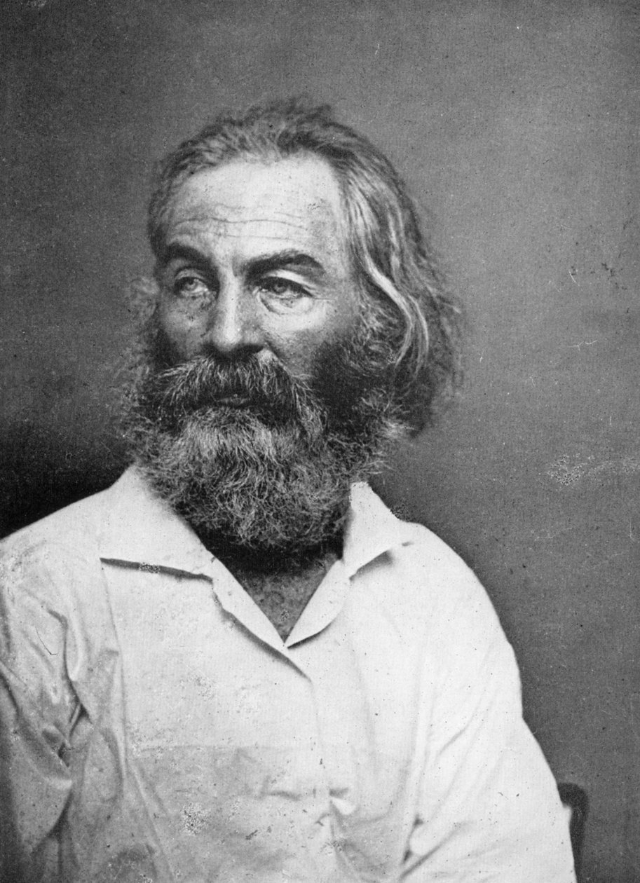 Walt Whitman 1819-1892, amerikansk poet, ca 1880-tallet av Mathew Brady