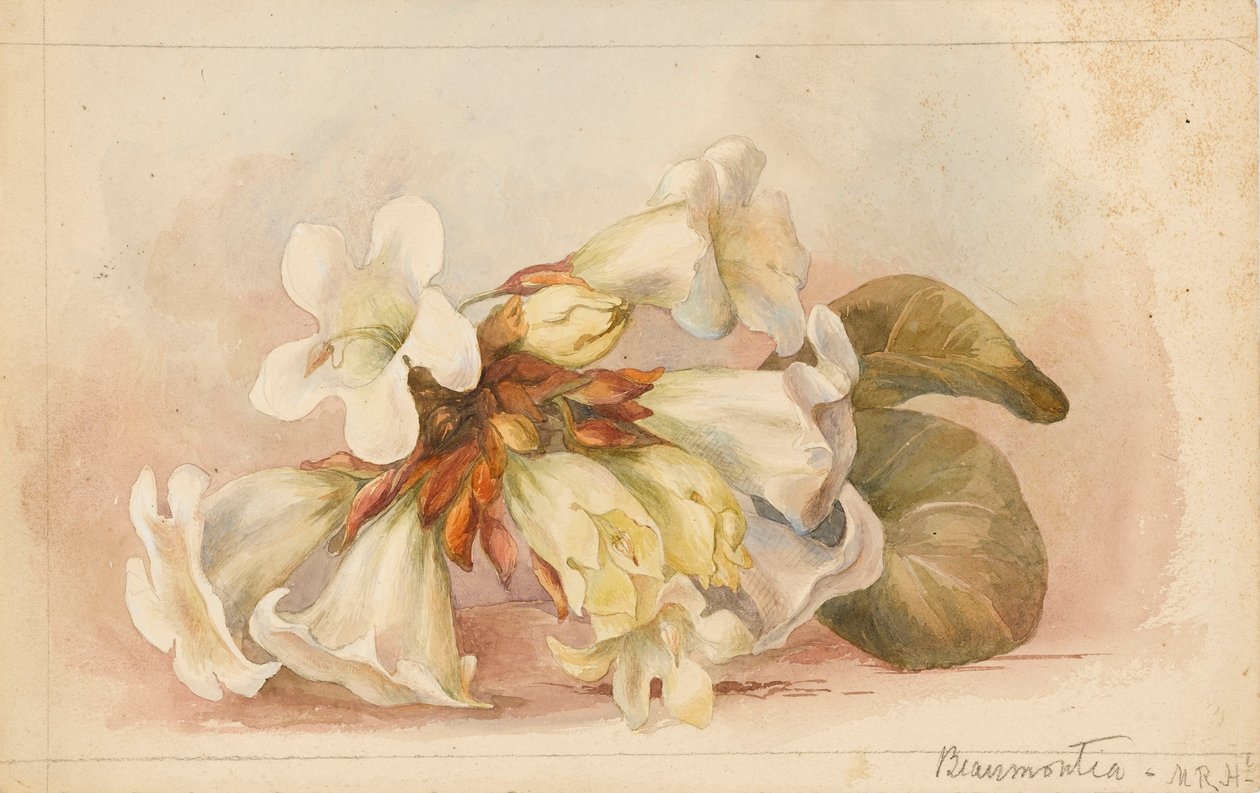  av Matilda Rose Herschel