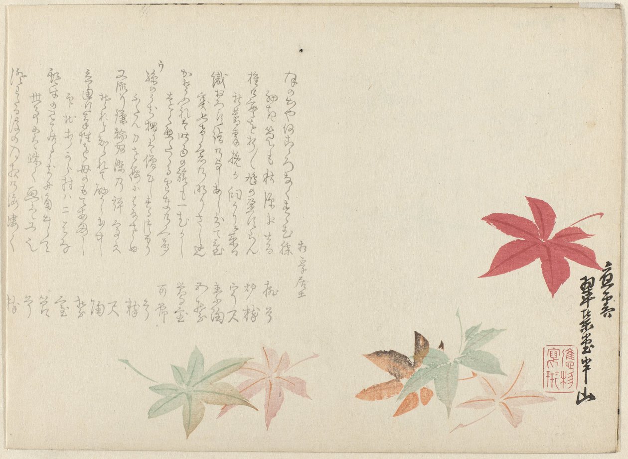 Japansk lønn av Matsukawa Hanzan
