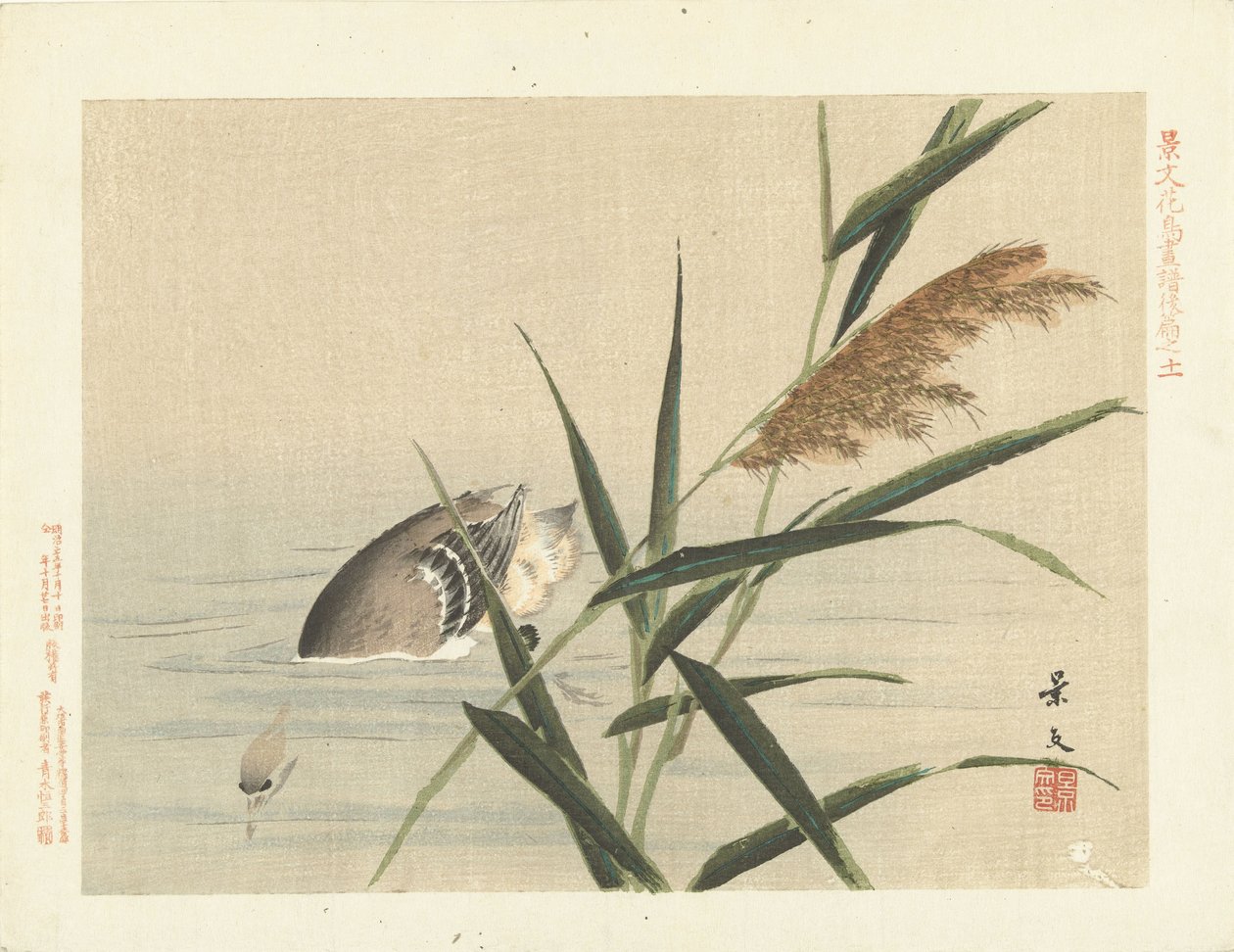 Dykkerand etter siv Blomster- og fugleskisser fra Keibun - del tre (serietittel) Keibun kacho gafu kohen (serietittel på objekt) av Matsumura Keibun