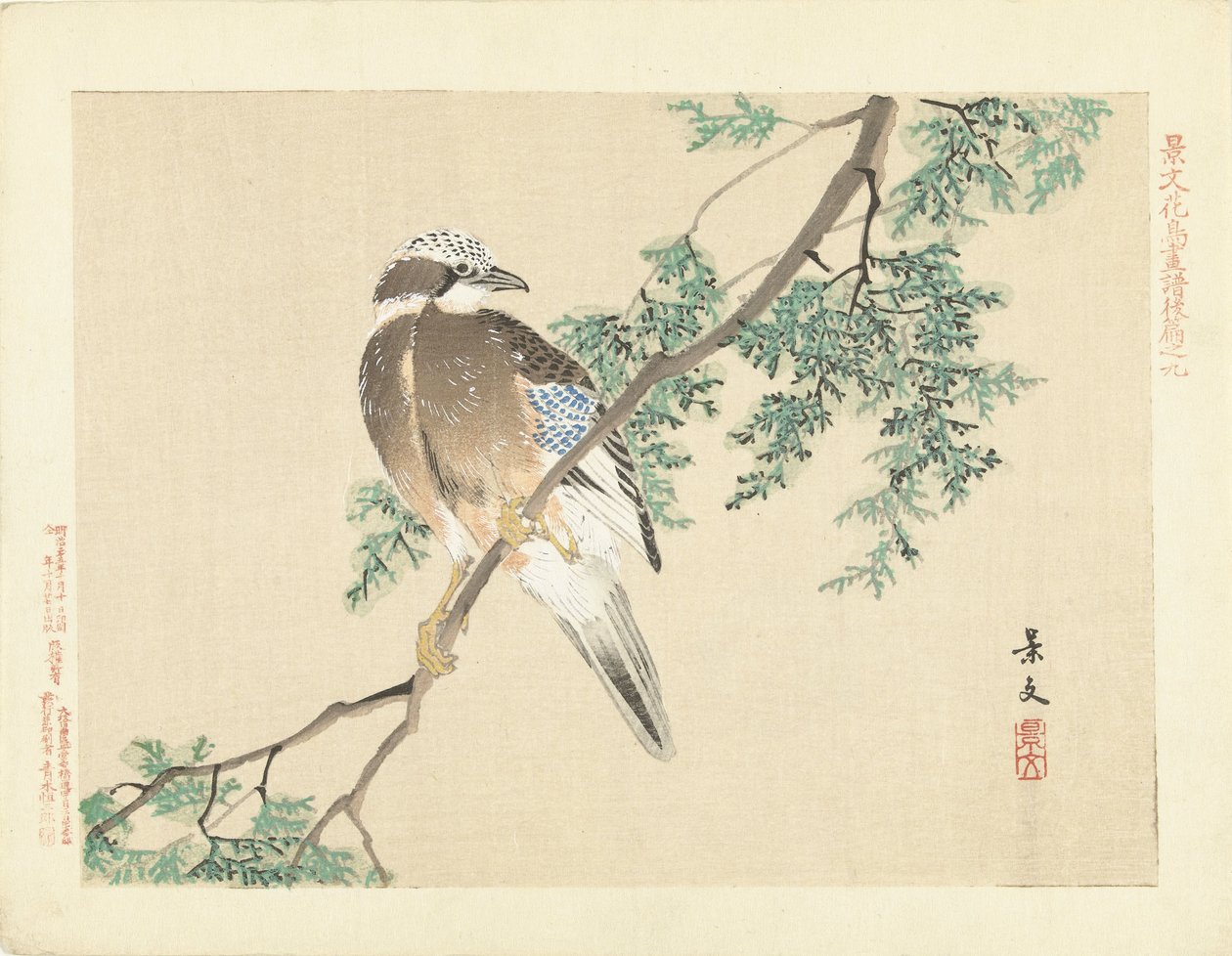Jay på en gren av Matsumura Keibun