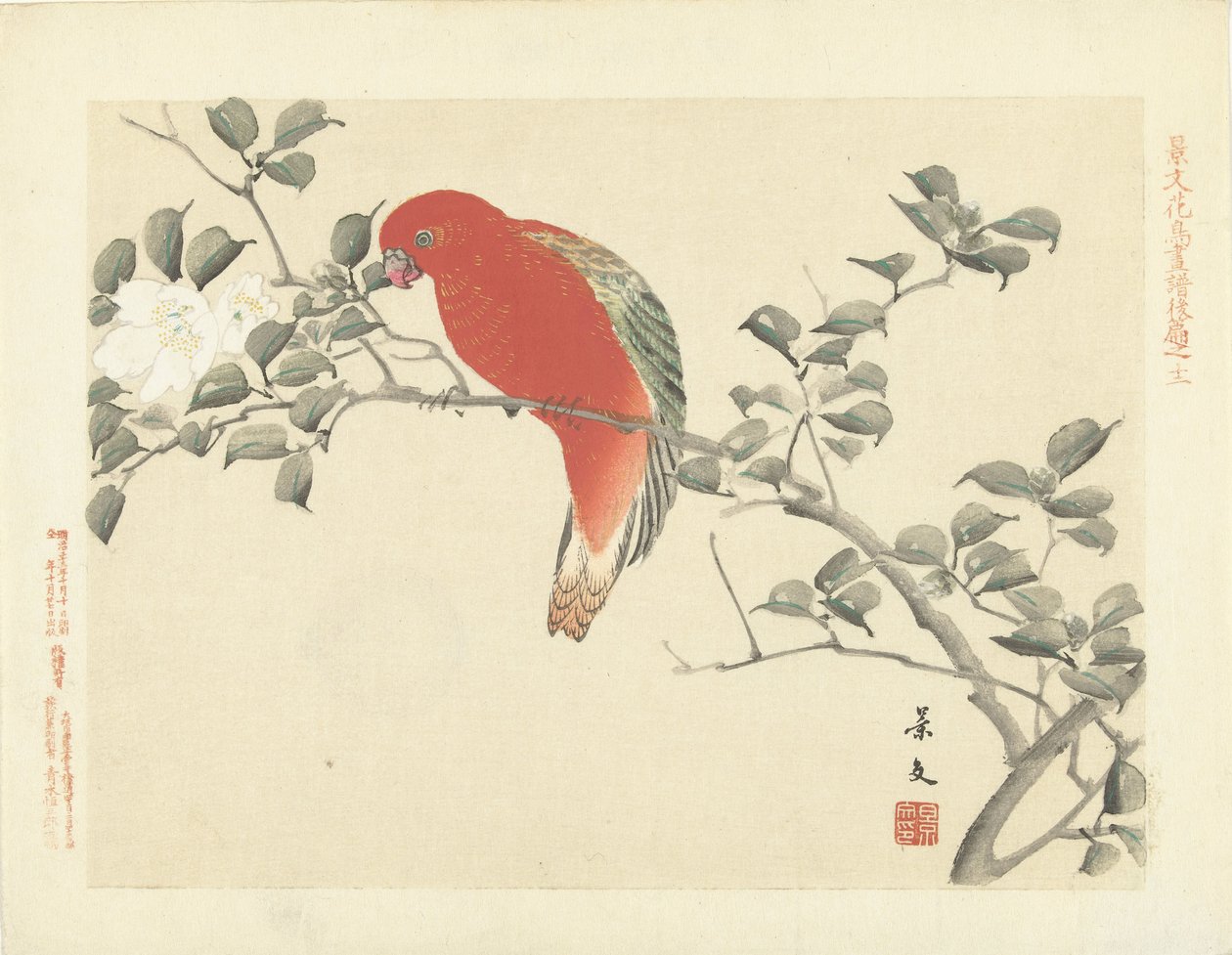 Rød papegøye på gren med hvite blomster Flower and Bird Sketches of Keibun - del tre (serietittel) Keibun kacho gafu kohen (serietittel på objekt) av Matsumura Keibun