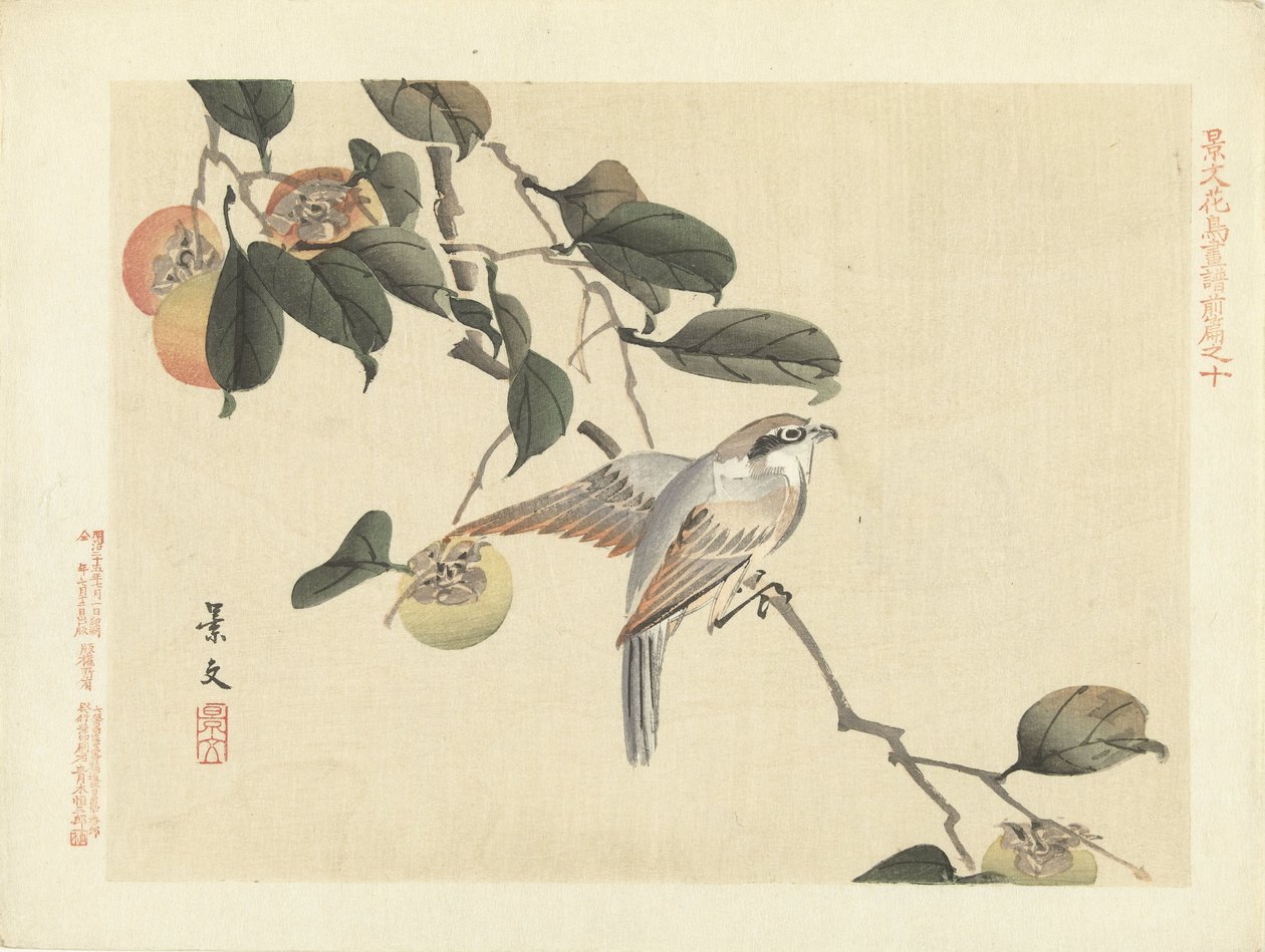 Fugl og persimmon Blomster- og fugleskisser fra Keibun – del én (serietittel) Keibun kacho gafu zen penn (serietittel på objekt) av Matsumura Keibun
