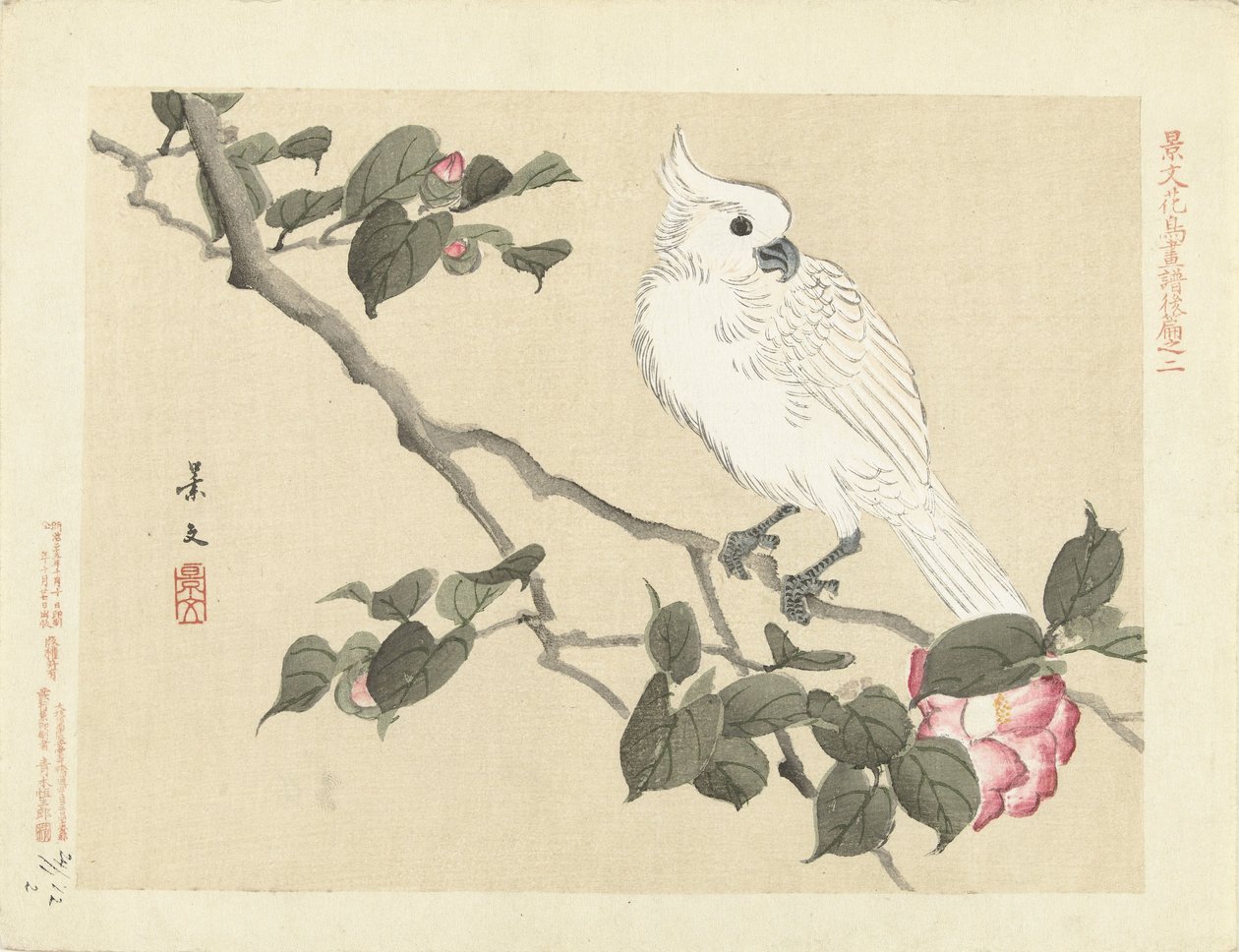 Hvit kakadu på kameliagren Blomster- og fugleskisser av Keibun- del tre (serietittel) Keibun kacho gafu kohen (serietittel på objekt) av Matsumura Keibun