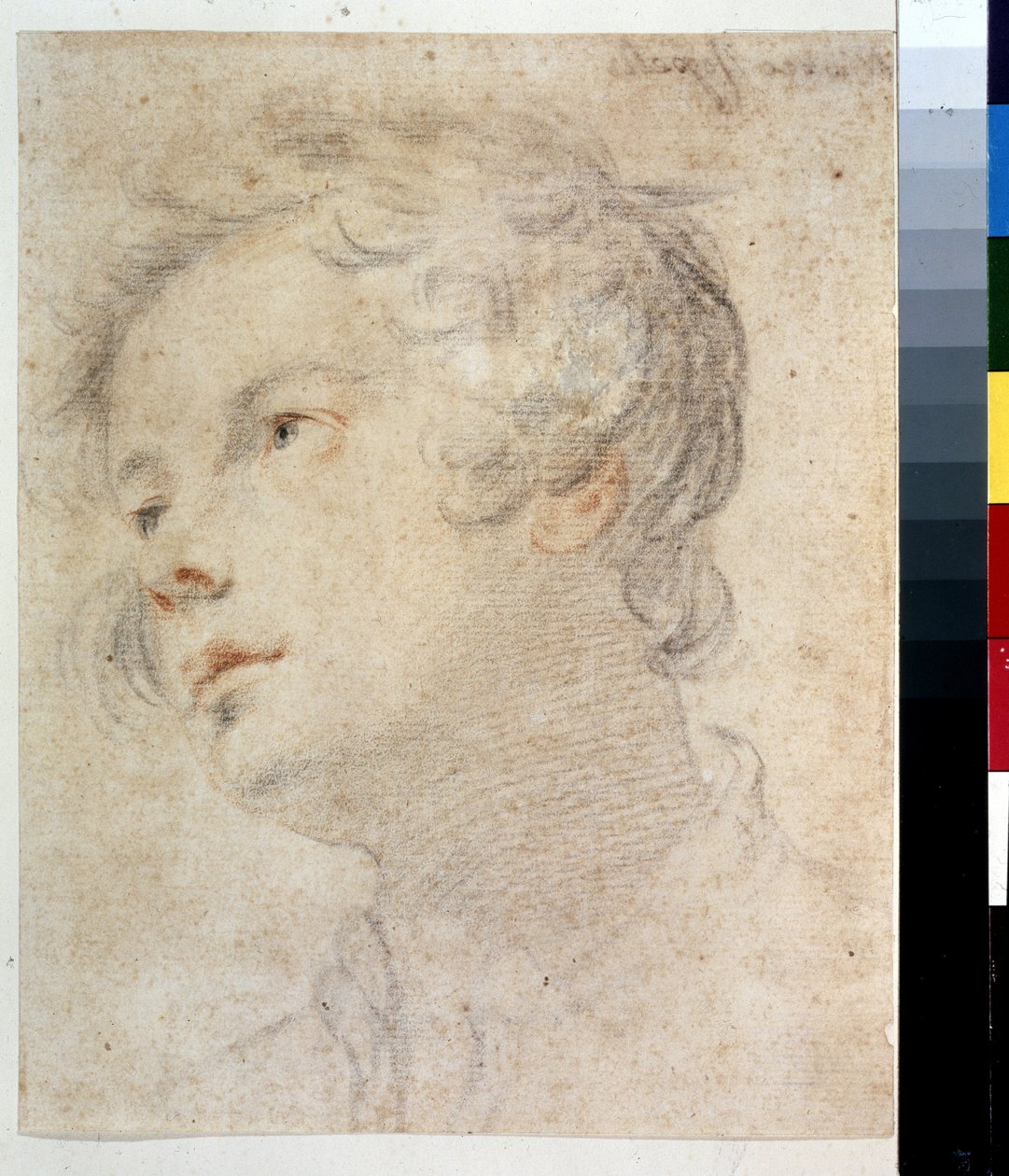 Hodet til en gutt. Maleri av Matteo Rosselli (1578-1650). Kritt og rødt kritt på papir av Matteo Rosselli