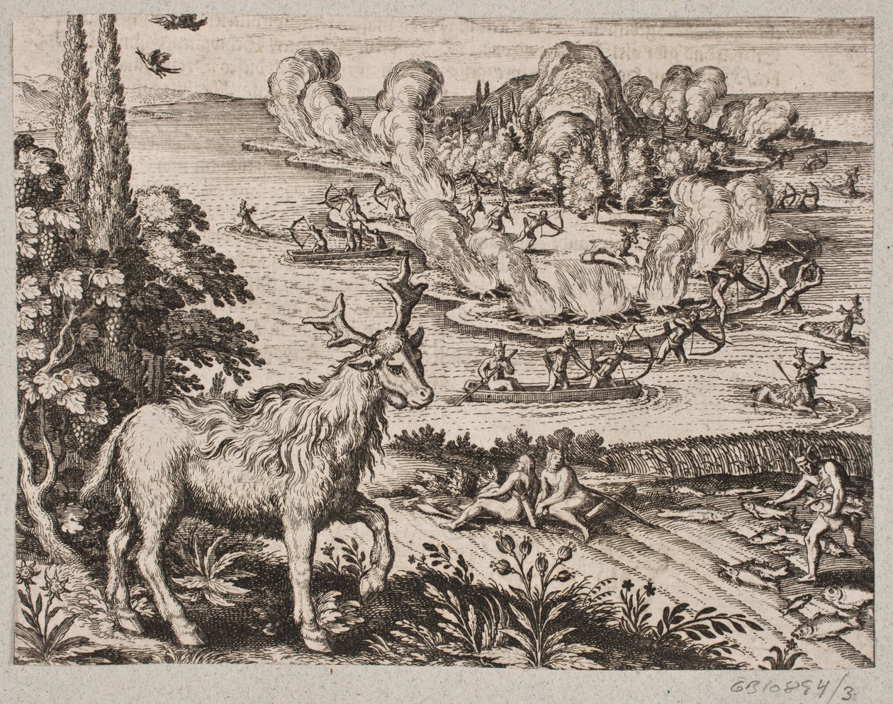 Her kan jeg ikke la være å tenke på den spesielt fantastiske skapningen som de innfødte kaller Mosse av Matthäus Merian d.Æ.
