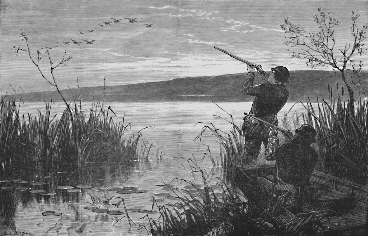 Andeskyting på Saratoga Lake, 1973, 1883 av Matthew Somerville Morgan