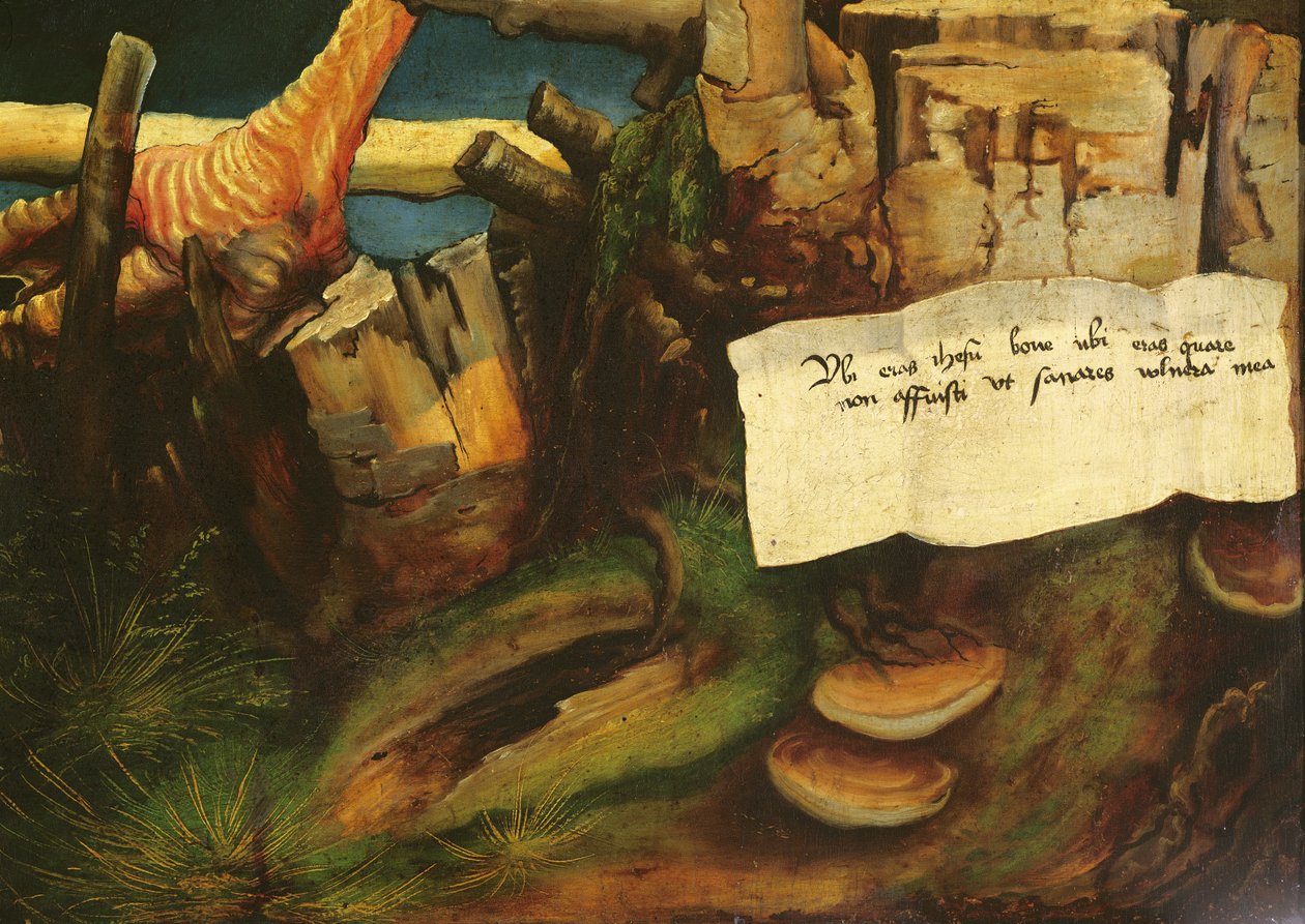 Detalj av fristelsen til Sankt Antonius fra Isenheim-altertavlen, ca. 1512-16 olje på panel av Matthias Grünewald