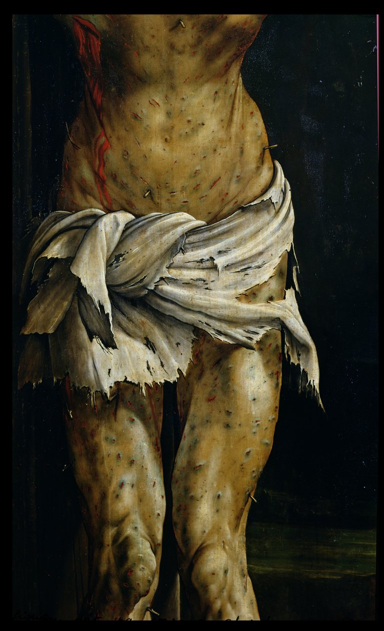 Korsfestelsen fra Isenheim-altertavlen, detalj av Kristi kropp, ca. 1512-16 olje på paneldetalj av Matthias Grünewald