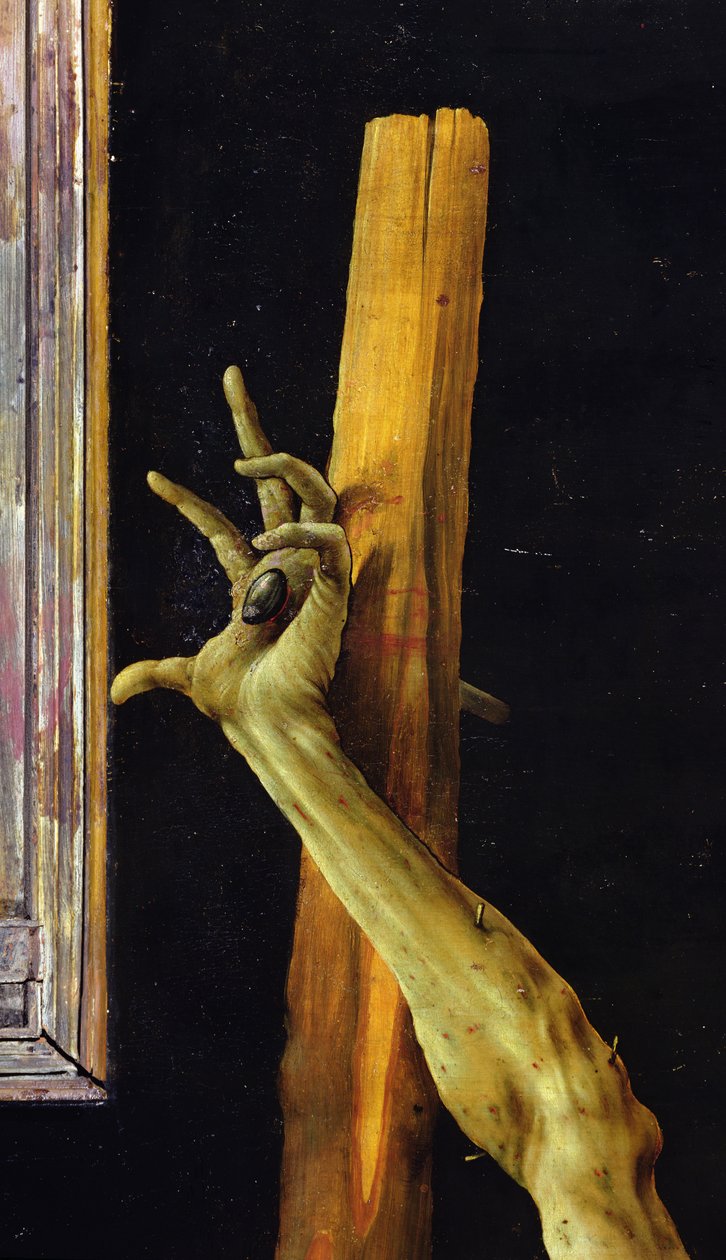 Isenheim-altertavlen, lukket detalj av Kristi venstre hånd, ca. 1512-16 olje på panel av Matthias Grünewald