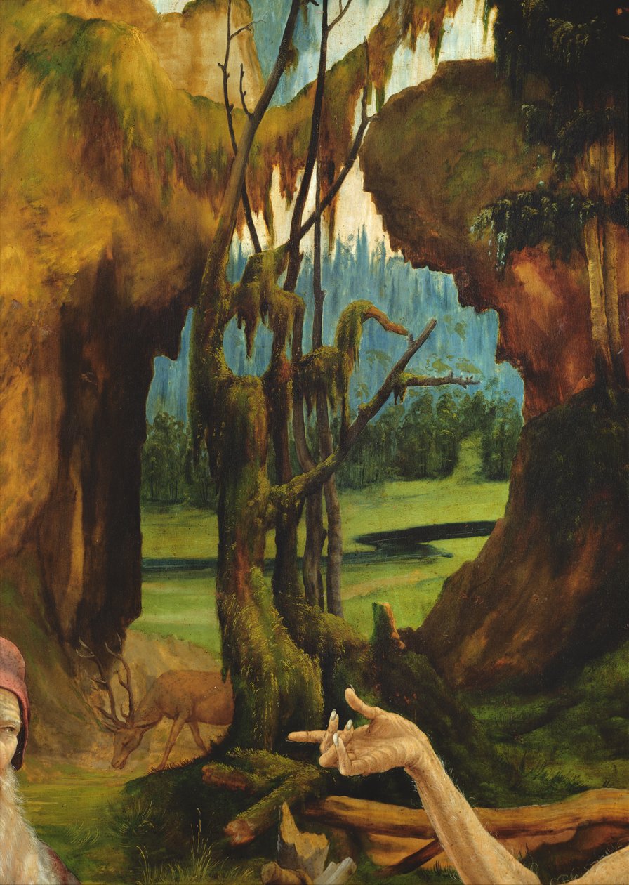 Besøket av Saint Anthony til Saint Paul eremitten. Detalj av Saint Pauls hånd fra Isenheim altertavle, ca. 1512-16 olje på tre av Matthias Grünewald