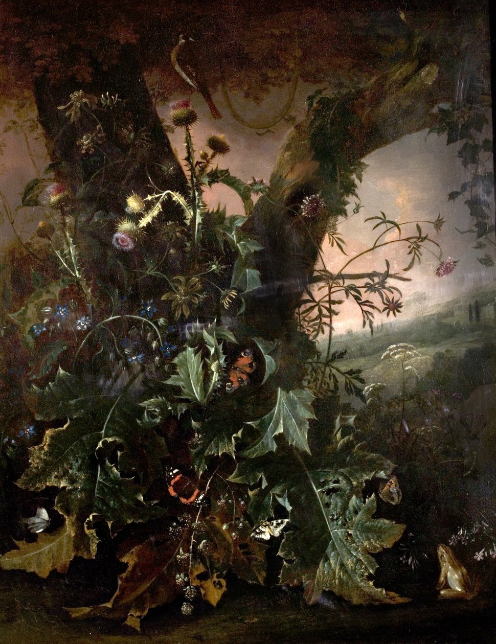 Stilleben med frosk og gullfink av Matthias Withoos