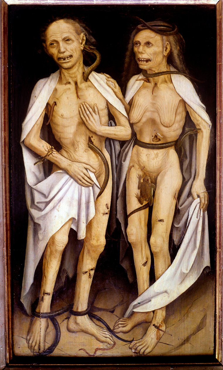 Trepasser elskere et alderspar med kropper i nedbrytning gjennomsyret av slanger og dekket med insekter minner Adam og Eva (olje på tre) av Matthias (c.1480 1528) Grunewald