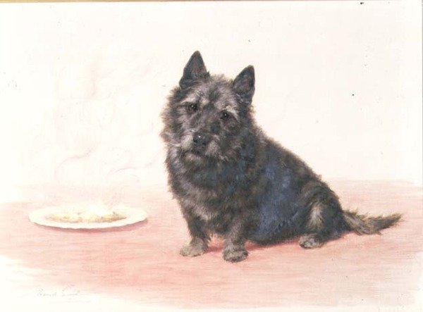 Suppertime - en skotsk terrier som sitter ved en tallerken av Maud Earl