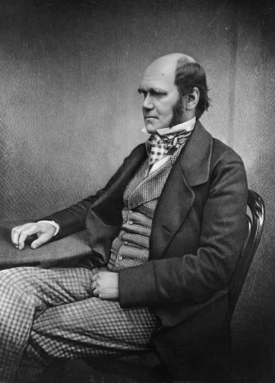 Charles Darwin av Maull and Fox