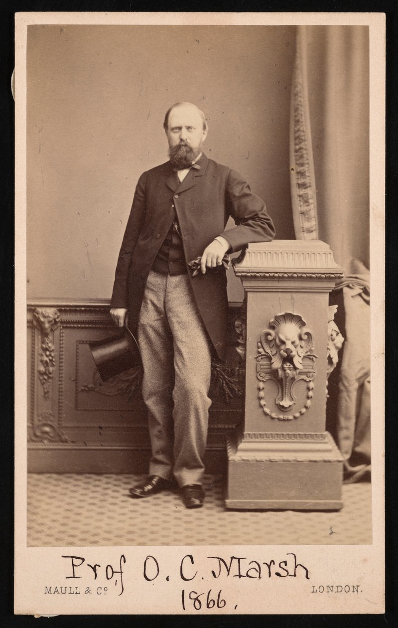 Portrett av Othniel Charles Marsh 1831-1879, 1866. av Maull and Co