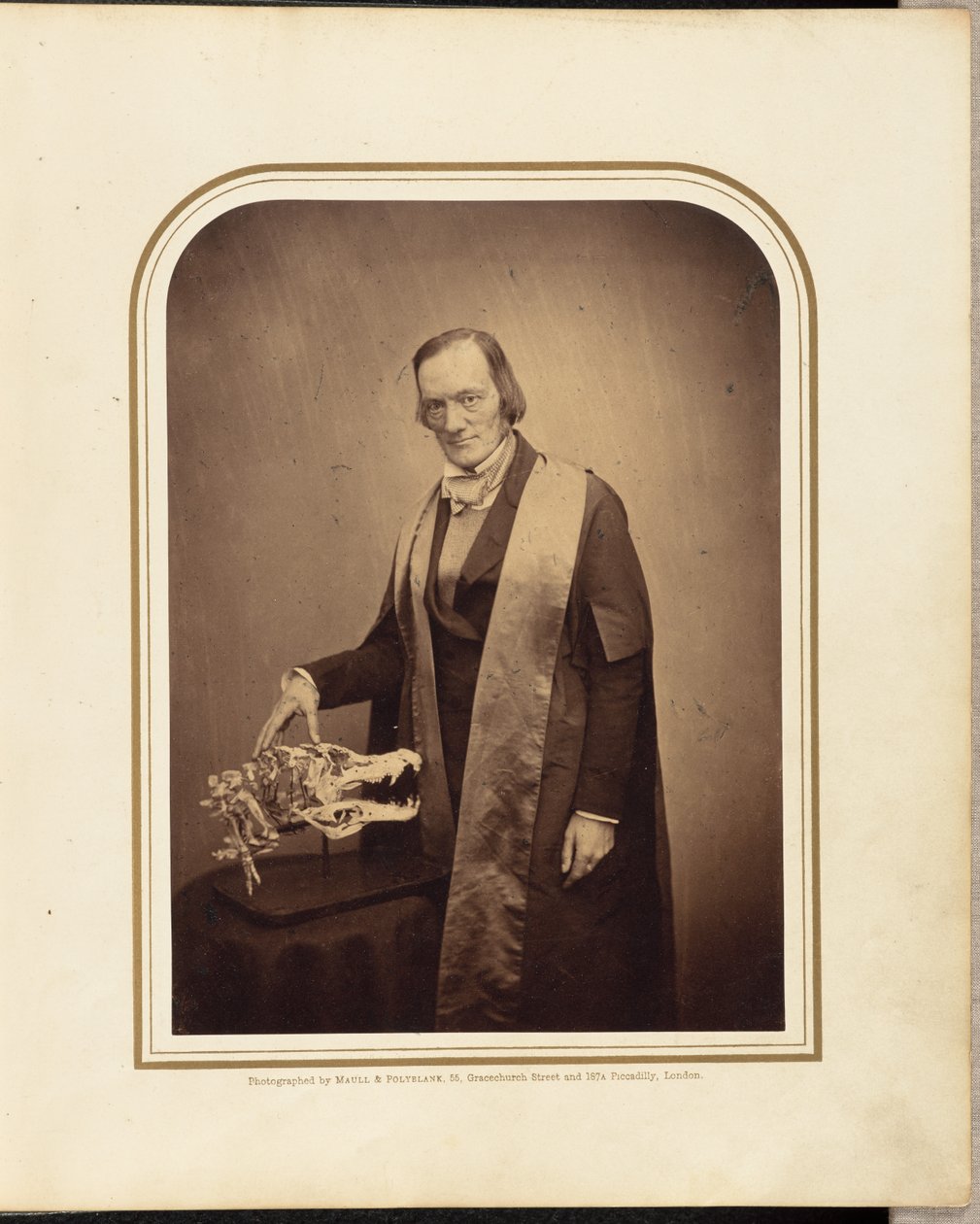  av Maull and Polyblank