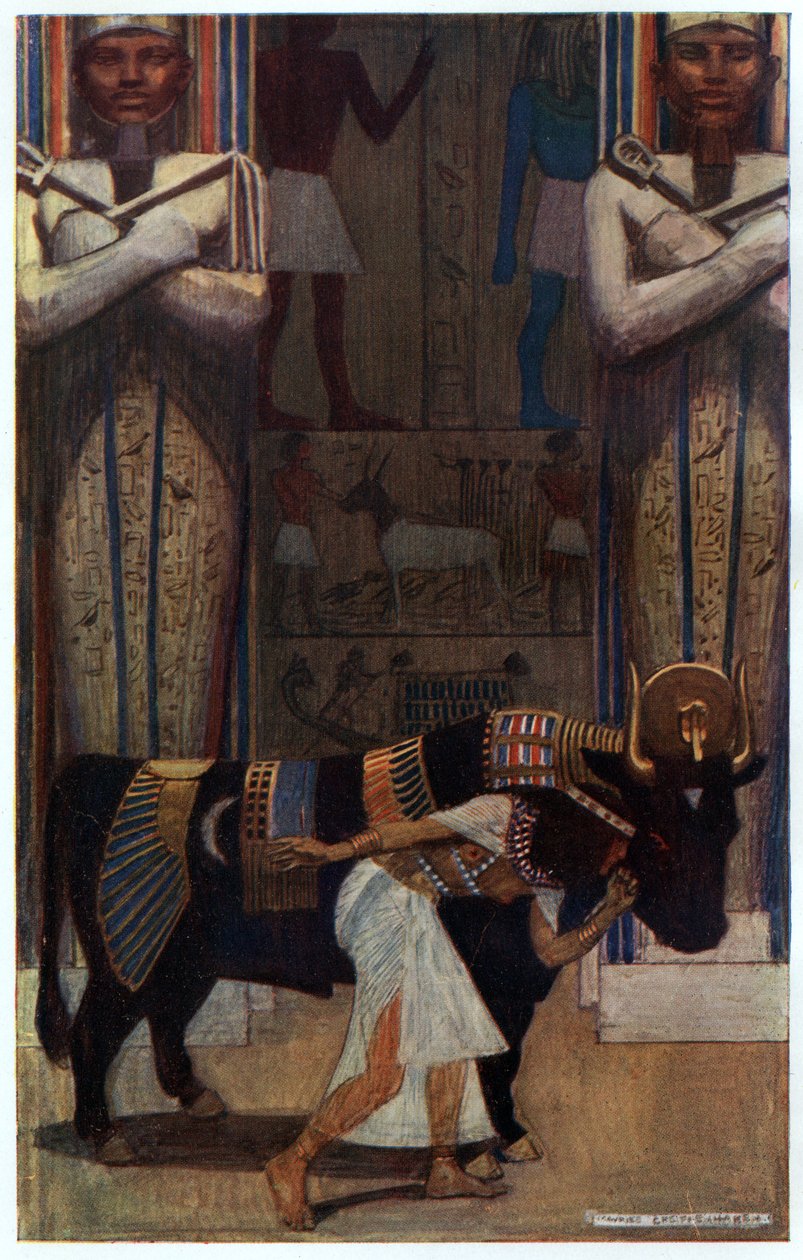 The Girl Wife and the Bath Bull, illustrasjon fra 