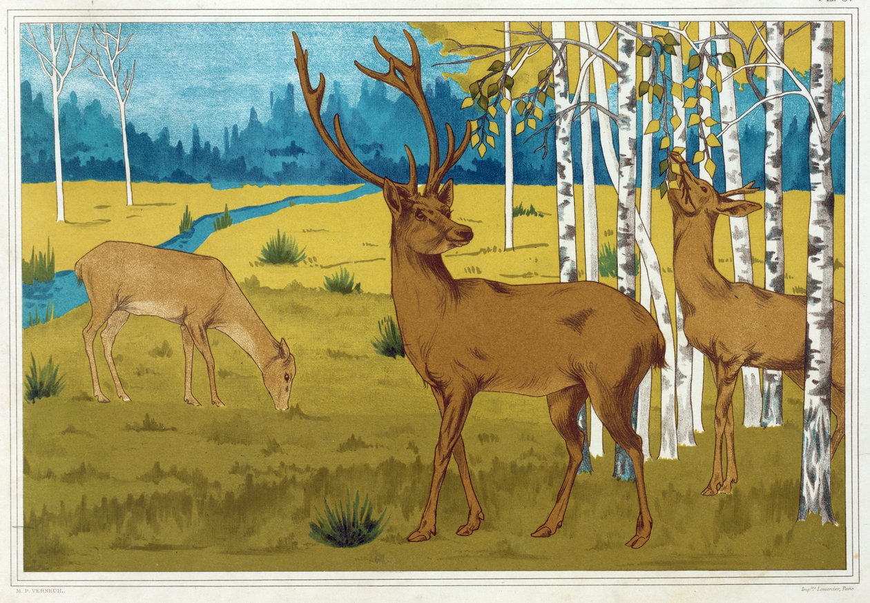 Hjort, fra "The Animal in the Decoration", pub. 1897. av Maurice Pillard Verneuil