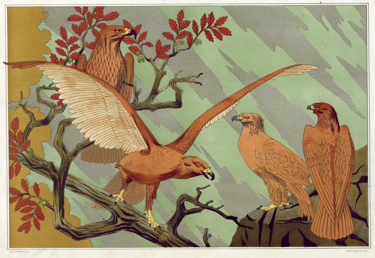 Eagles, fra "The Animal in the Decoration" av Maurice Pillard Verneuil, pub. 1897 (fargelitografi) av Maurice Pillard Verneuil