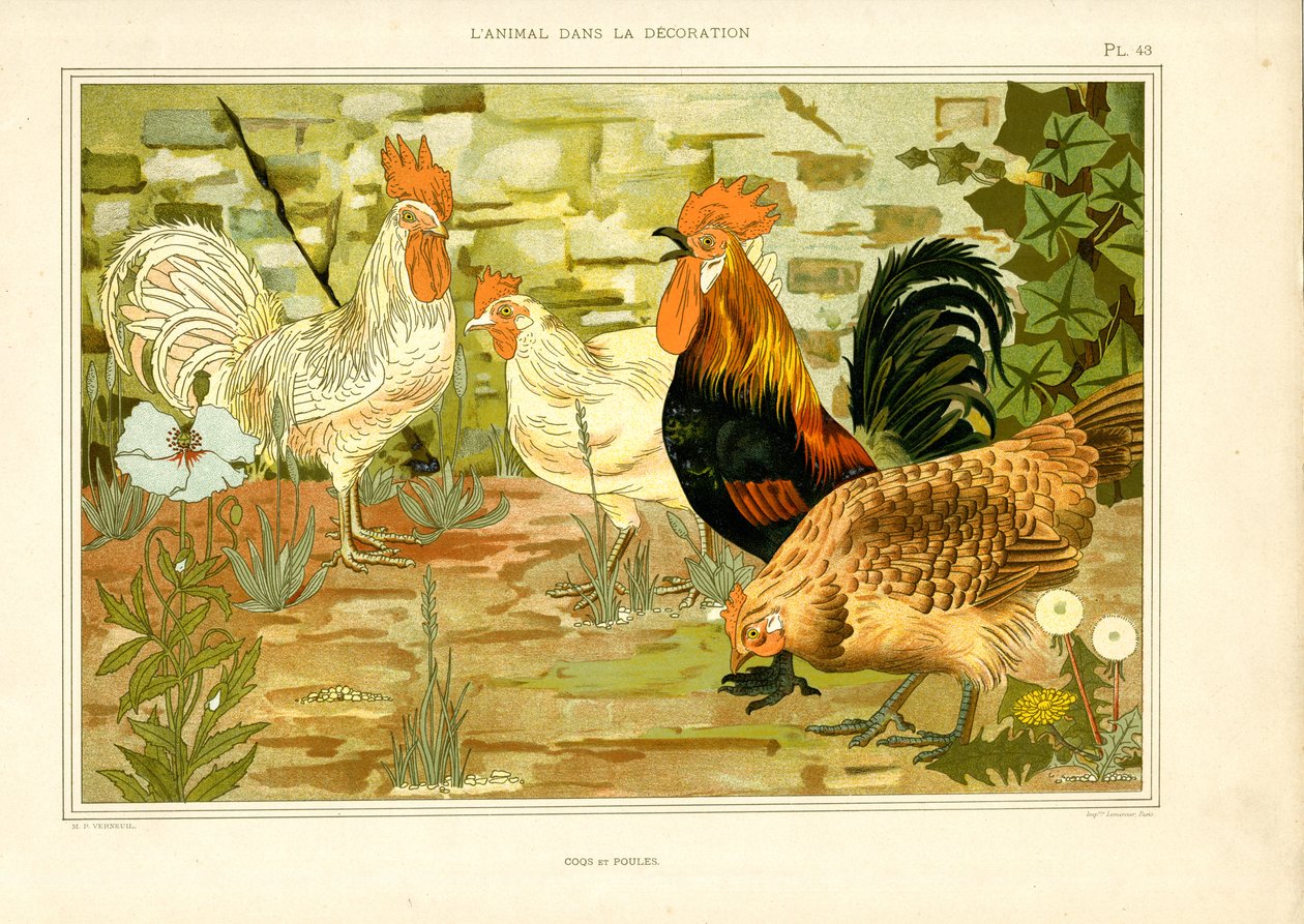Naturalistisk skildring av kyllinger og haner (lito) av Maurice Pillard Verneuil