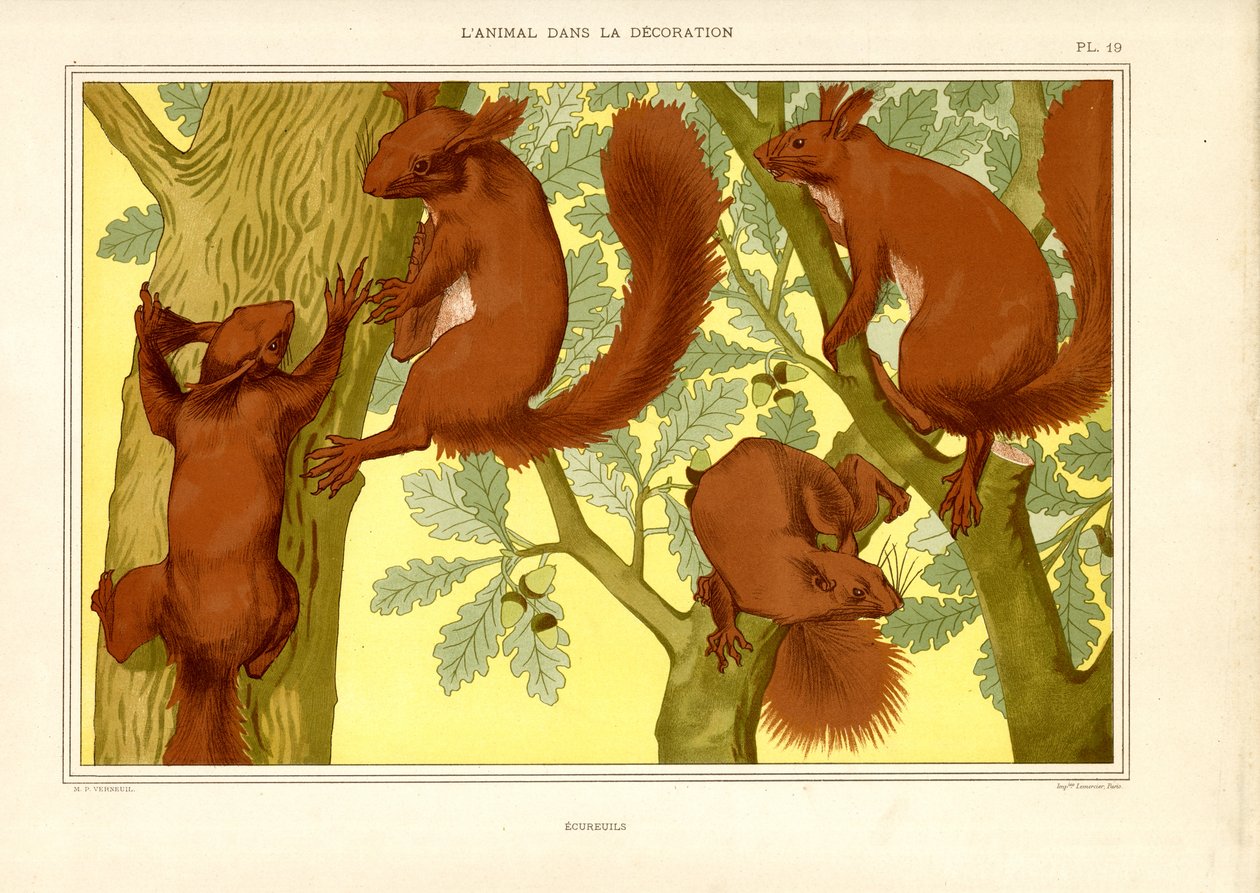 Ekorn i et eiketre (lito) av Maurice Pillard Verneuil