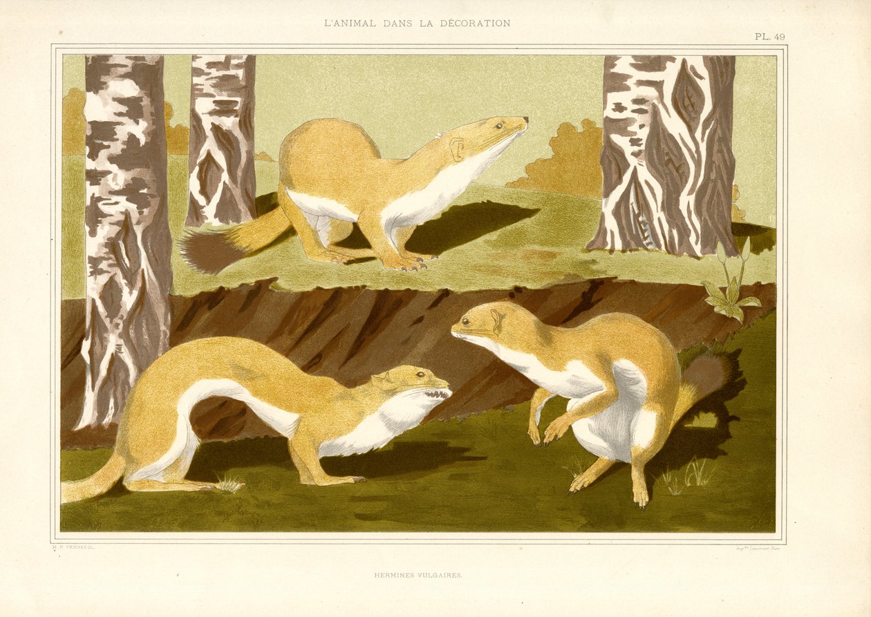  av Maurice Pillard Verneuil